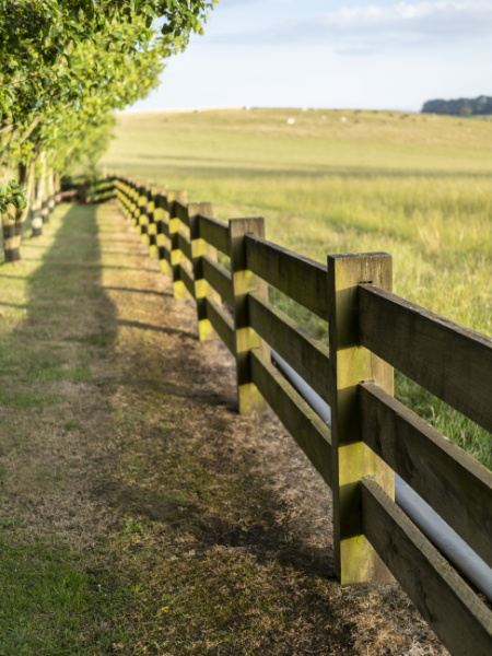 Nonna's Cottage _ Woman with Roses
