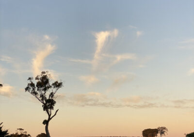 Nonnas Cottage _ Outside 4