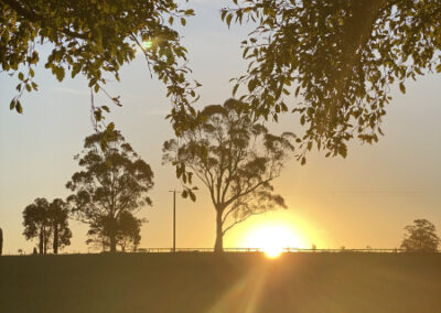 Nonnas Cottage _ Outside 7